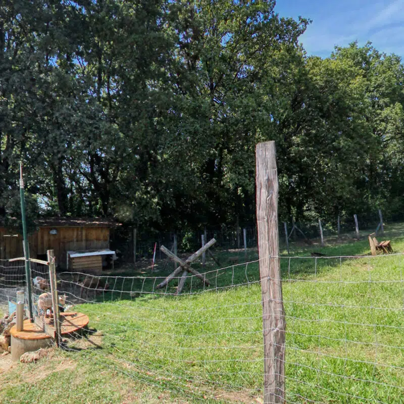 camping-mini-ferme