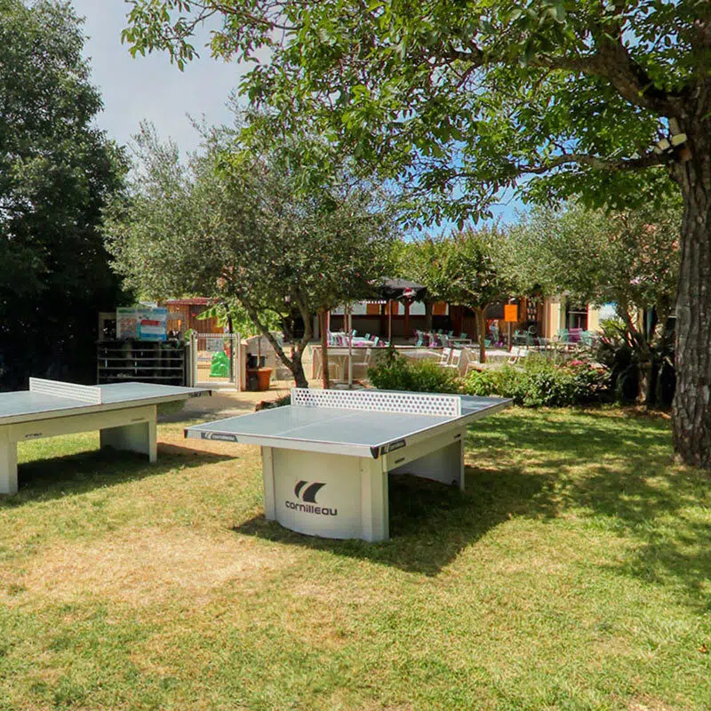 ping-pong
